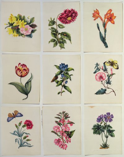 Nine Flower Plates by English School